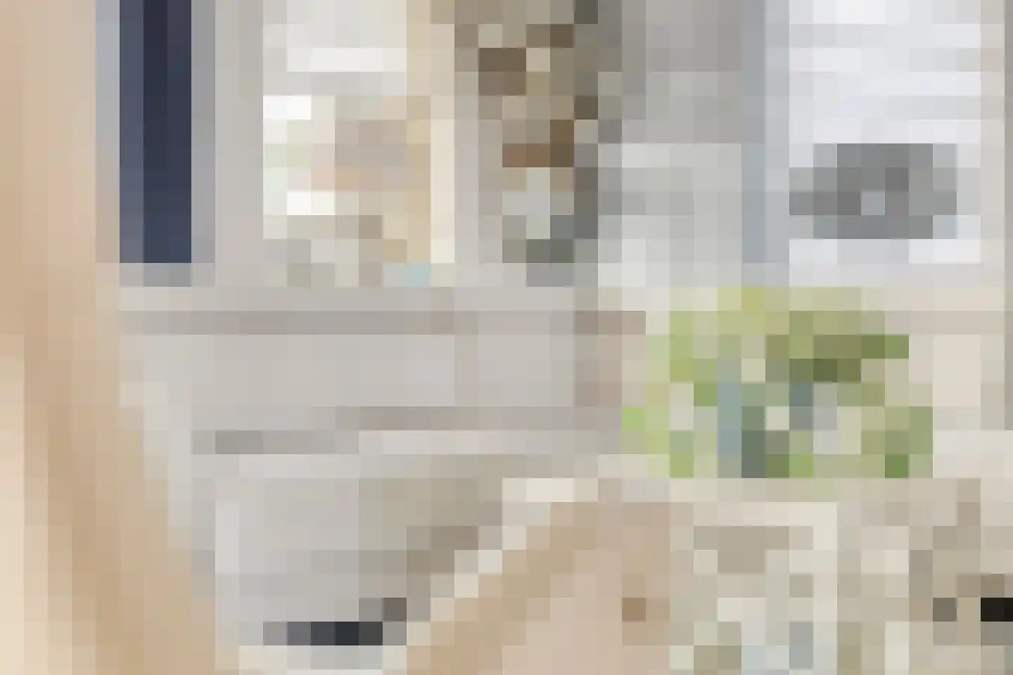 Wevelsweg 301 Simonshaven thumbnail 10