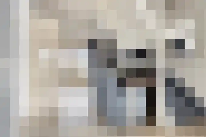 Wevelsweg 301 Simonshaven thumbnail 11