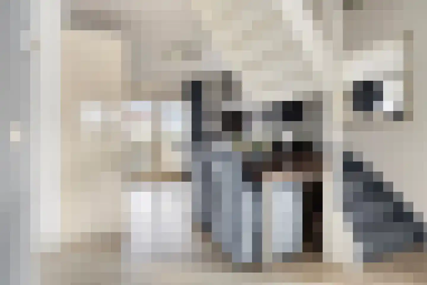 Wevelsweg 301 Simonshaven thumbnail 12