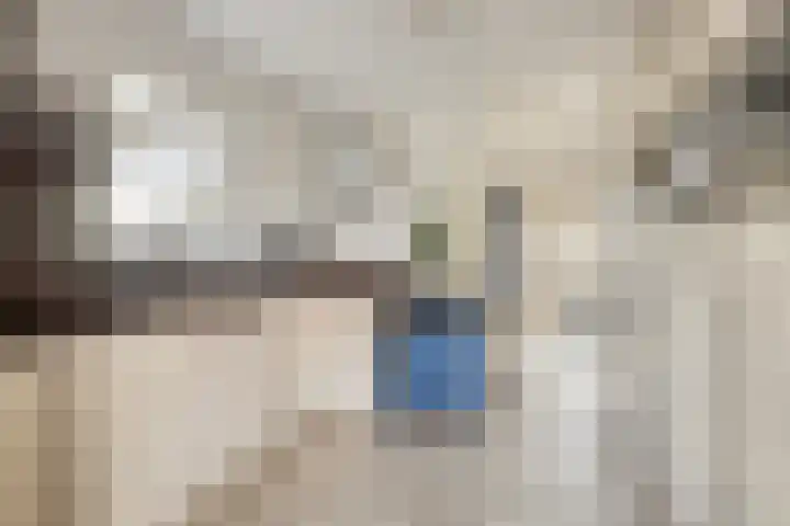 Wevelsweg 301 Simonshaven thumbnail 13