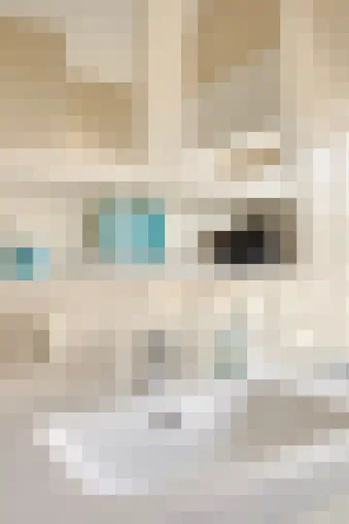 Wevelsweg 301 Simonshaven thumbnail 19
