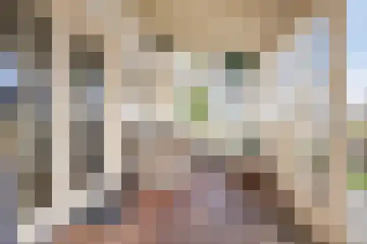 Wevelsweg 301 Simonshaven thumbnail 24