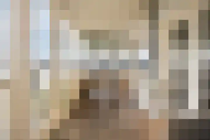 Wevelsweg 301 Simonshaven thumbnail 25
