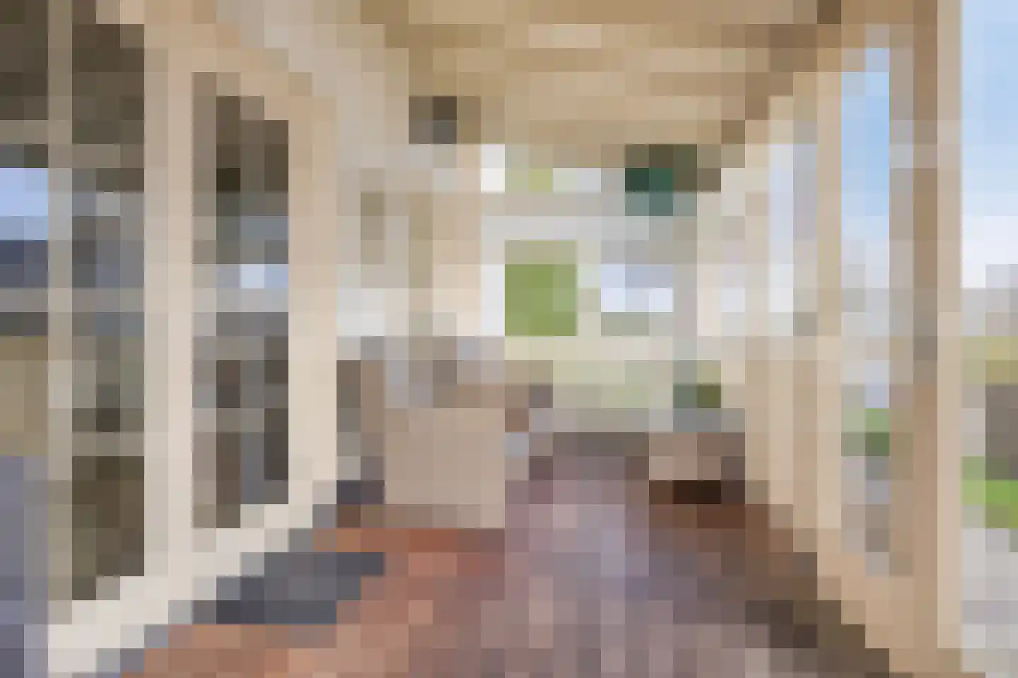 Wevelsweg 301 Simonshaven thumbnail 25