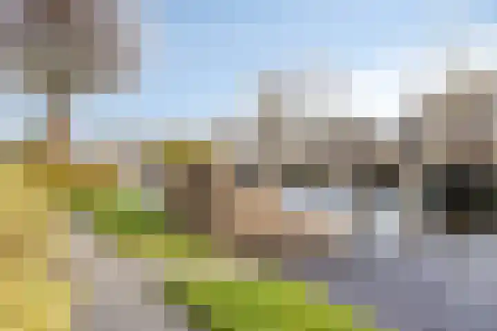 Wevelsweg 301 Simonshaven thumbnail 31