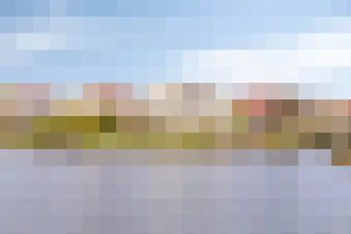 Wevelsweg 301 Simonshaven thumbnail 40
