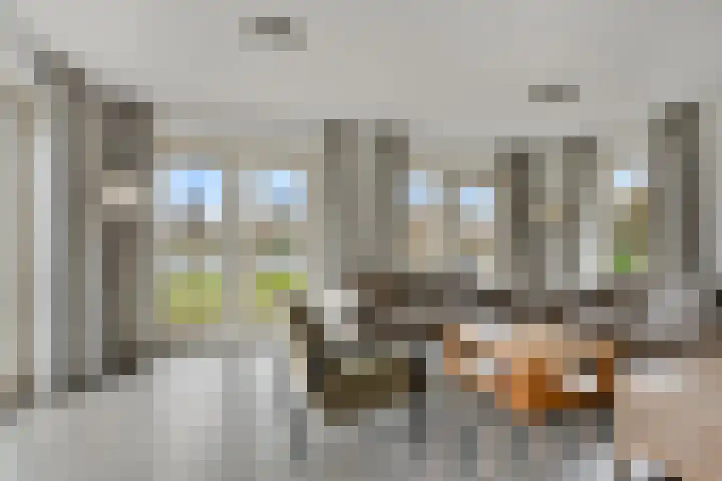 Wevelsweg 303 Simonshaven thumbnail 9