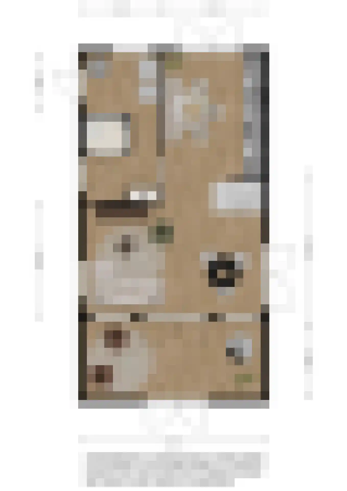 Wevelsweg 313 Simonshaven thumbnail 12