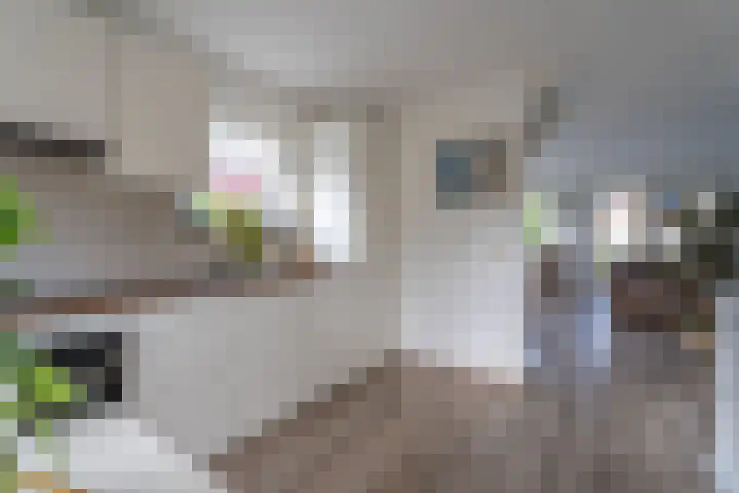 Wevelsweg 313 Simonshaven thumbnail 17