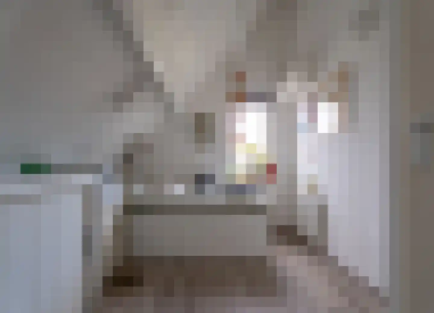 Wevelsweg 313 Simonshaven thumbnail 32