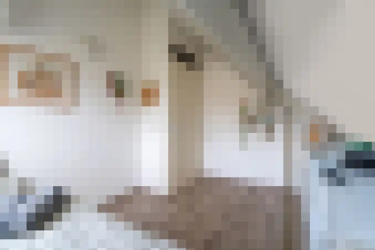 Wevelsweg 313 Simonshaven thumbnail 33
