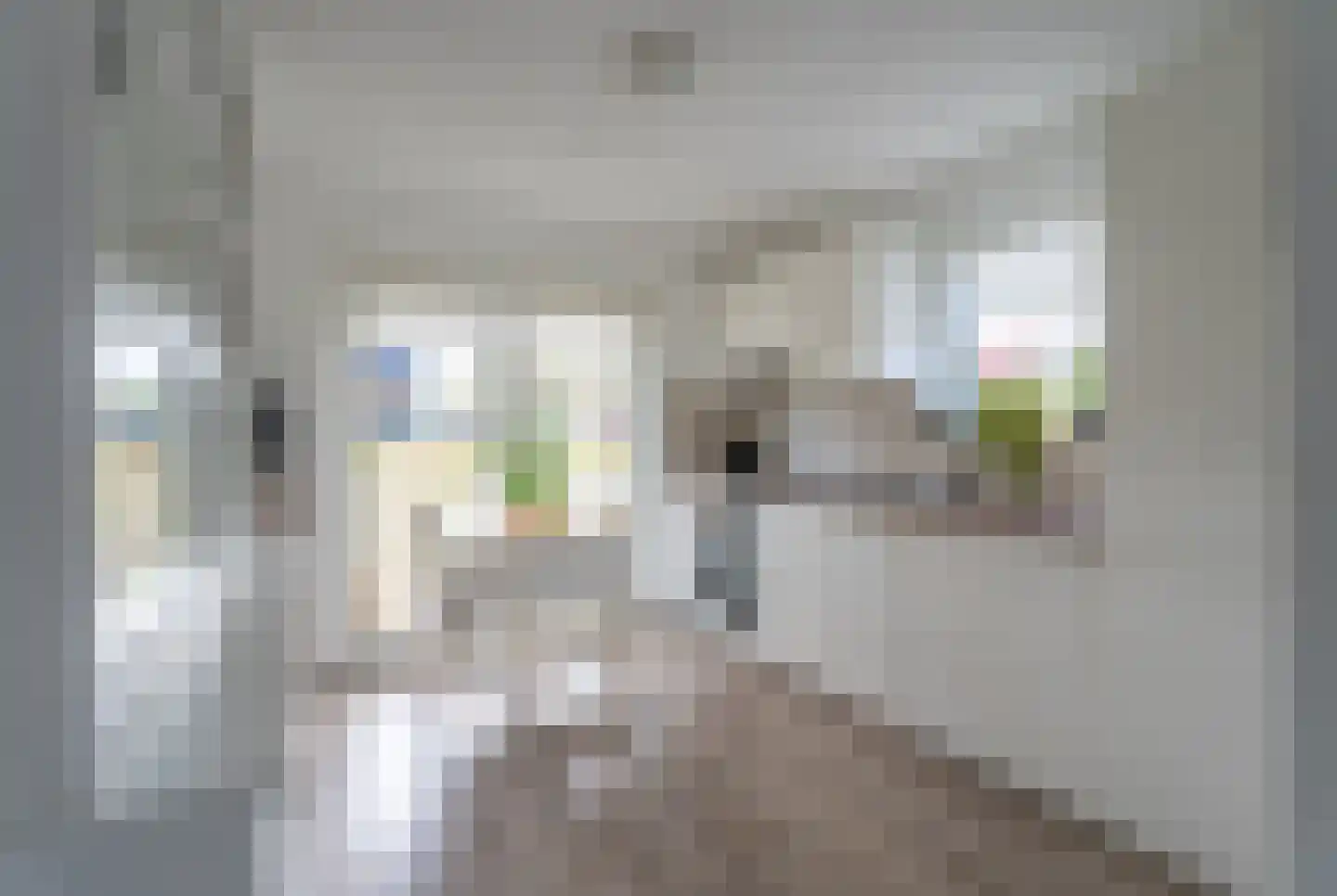 Wevelsweg 313 Simonshaven thumbnail 4