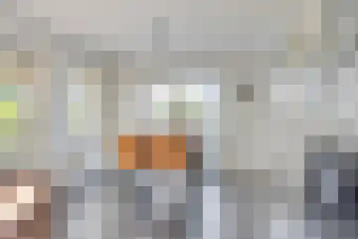 Wevelsweg 316 Simonshaven thumbnail 10