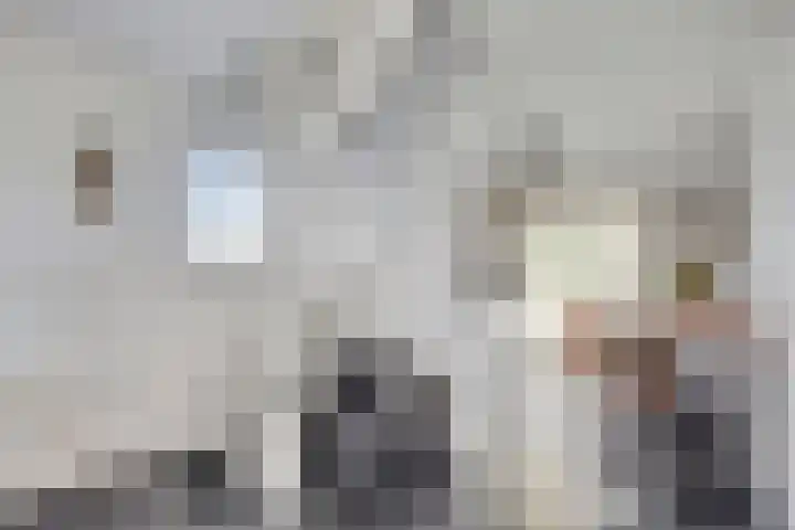 Wevelsweg 316 Simonshaven thumbnail 13