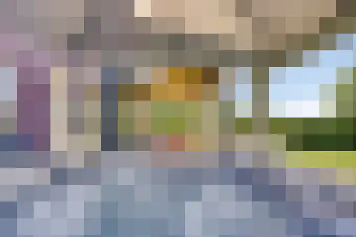 Wevelsweg 316 Simonshaven thumbnail 32