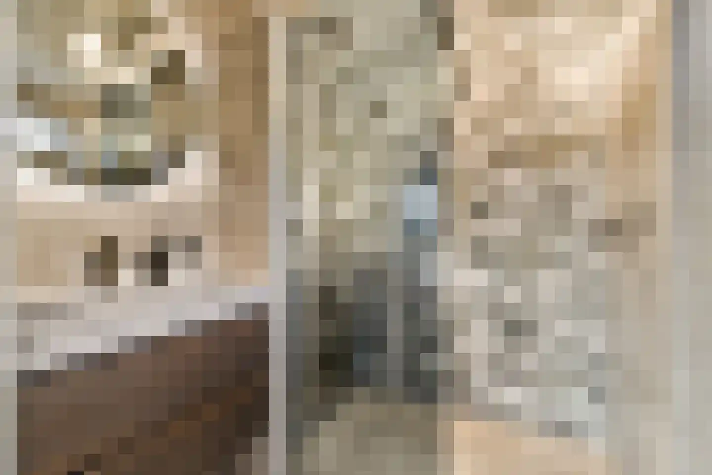 Wevelsweg 4 Simonshaven thumbnail 5