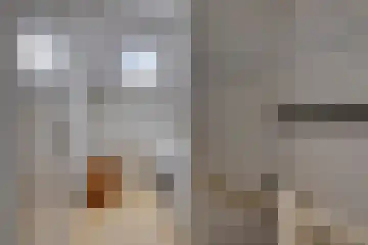 Wever 16 Best thumbnail 26