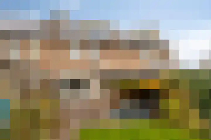 Wever 16 Best thumbnail 32