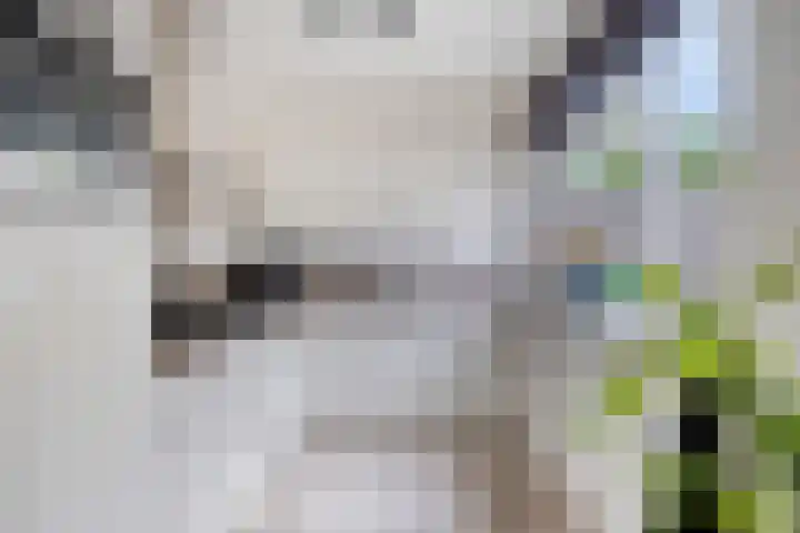 Wever 22 Alphen aan den Rijn thumbnail 13