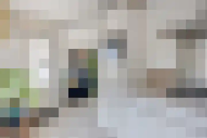 Wever 22 Alphen aan den Rijn thumbnail 15