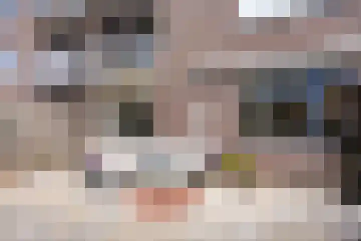 Wever 22 Alphen aan den Rijn thumbnail 16