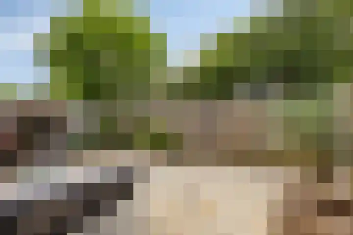 Wever 22 Alphen aan den Rijn thumbnail 17