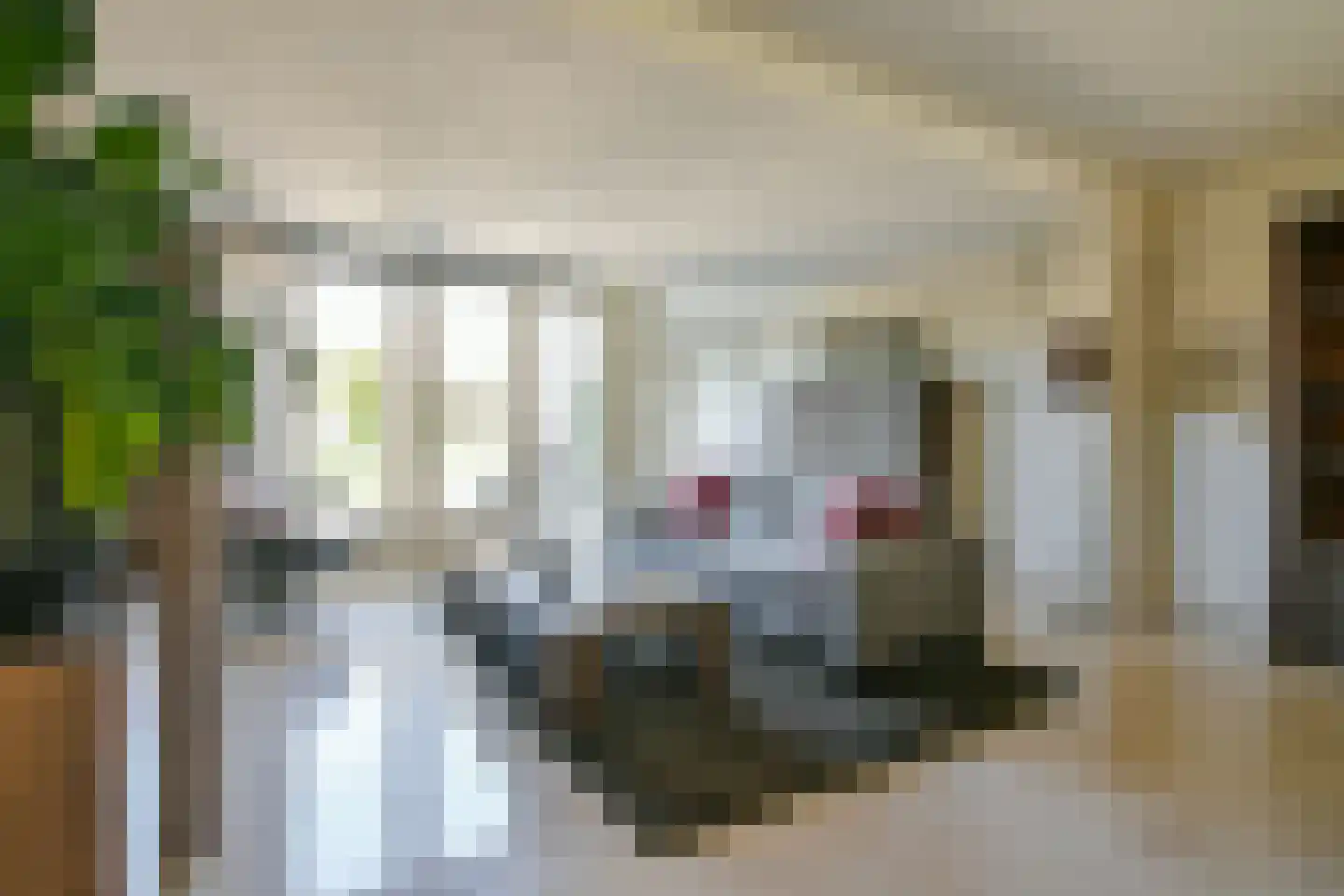 Wever 34 Nieuw-Vennep thumbnail 8