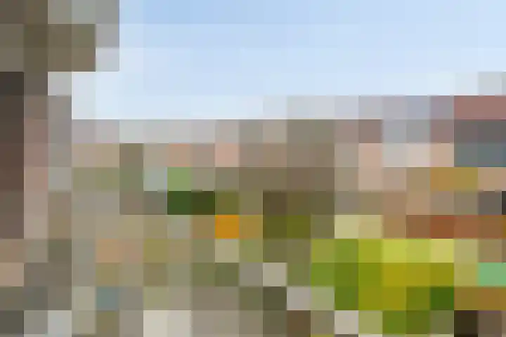 Wever 40 Alphen aan den Rijn thumbnail 16