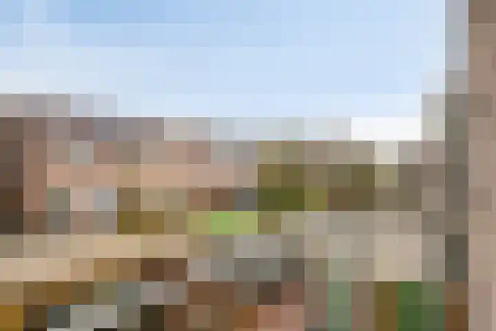Wever 40 Alphen aan den Rijn thumbnail 17