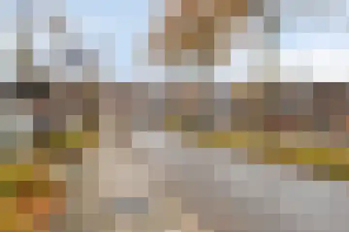 Wever 40 Alphen aan den Rijn thumbnail 25