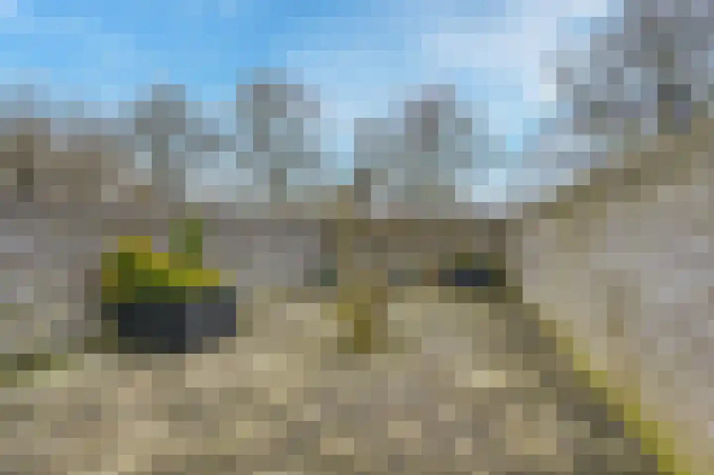 Wever 63 Hoorn thumbnail 32