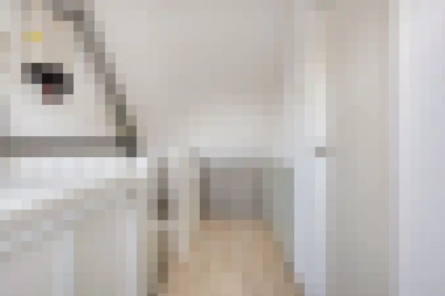 Weverij 14 Alkmaar thumbnail 17