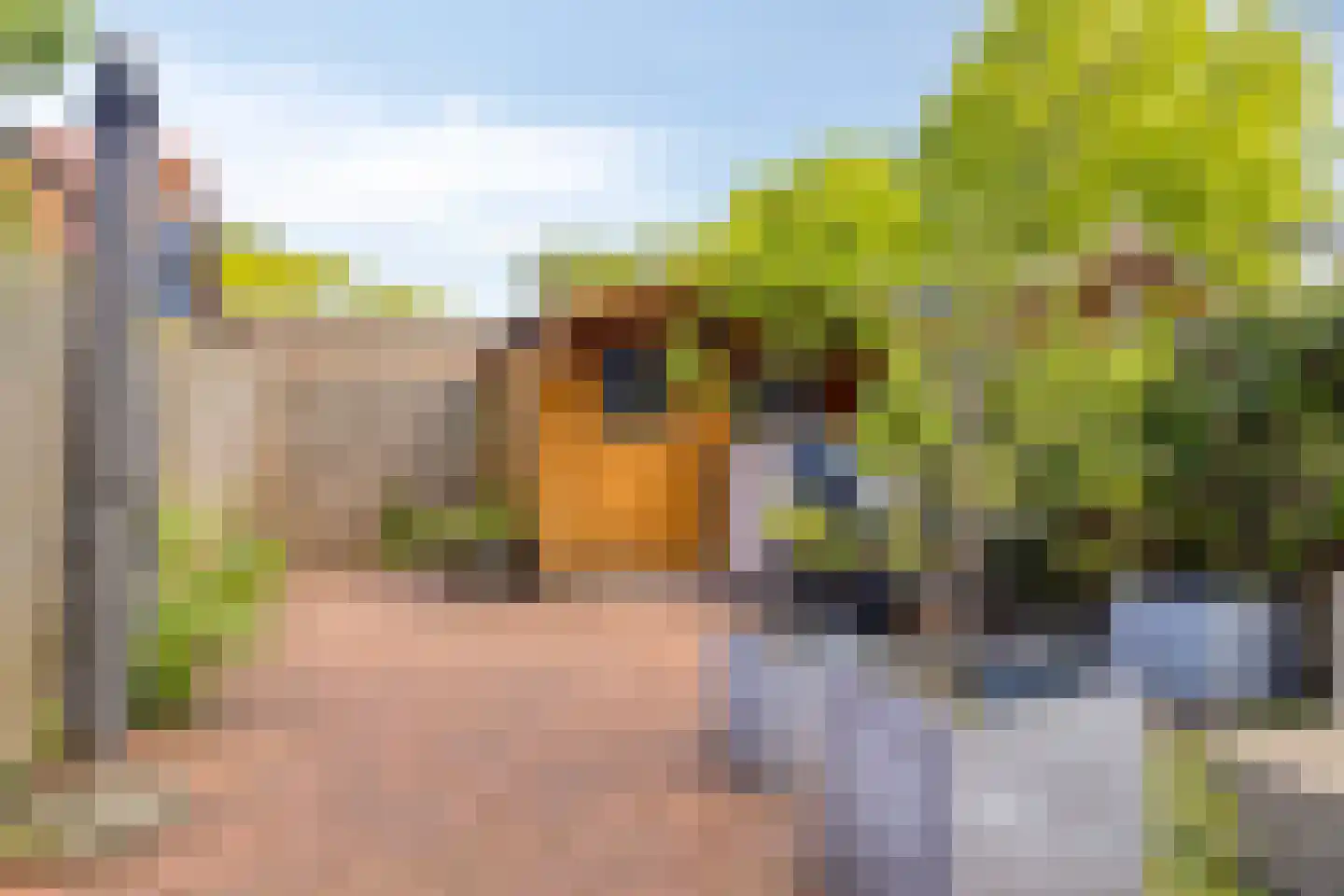 Weverij 14 Alkmaar thumbnail 23