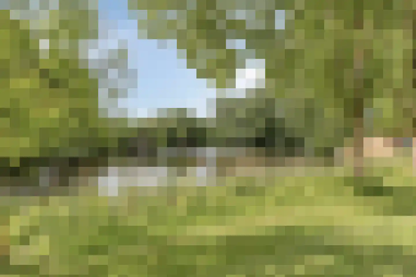 Weverij 14 Alkmaar thumbnail 27