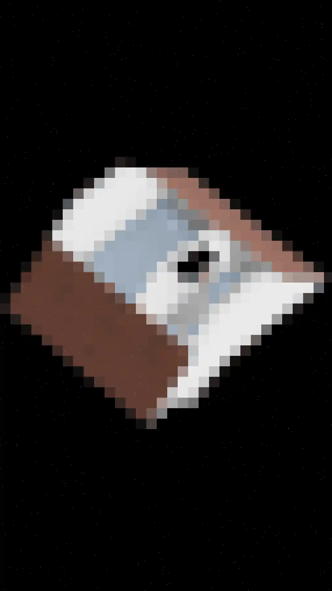 Weverij 14 Alkmaar thumbnail 36
