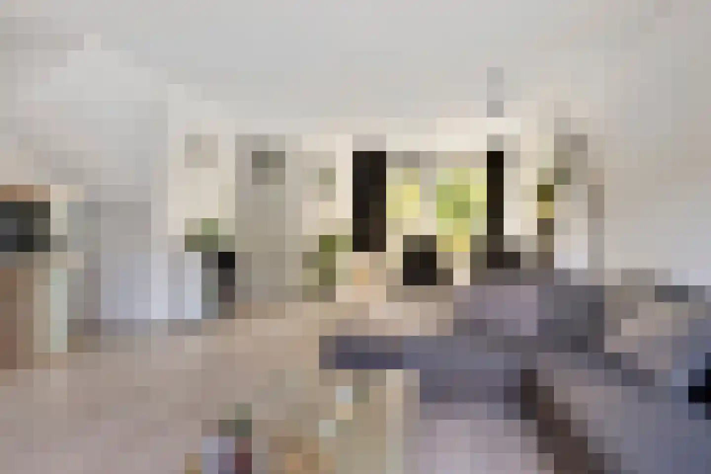 Weverij 14 Alkmaar thumbnail 7