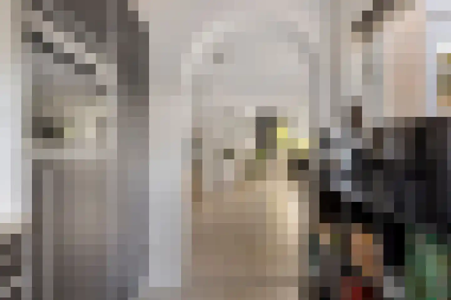 Weverij 14 Alkmaar thumbnail 9