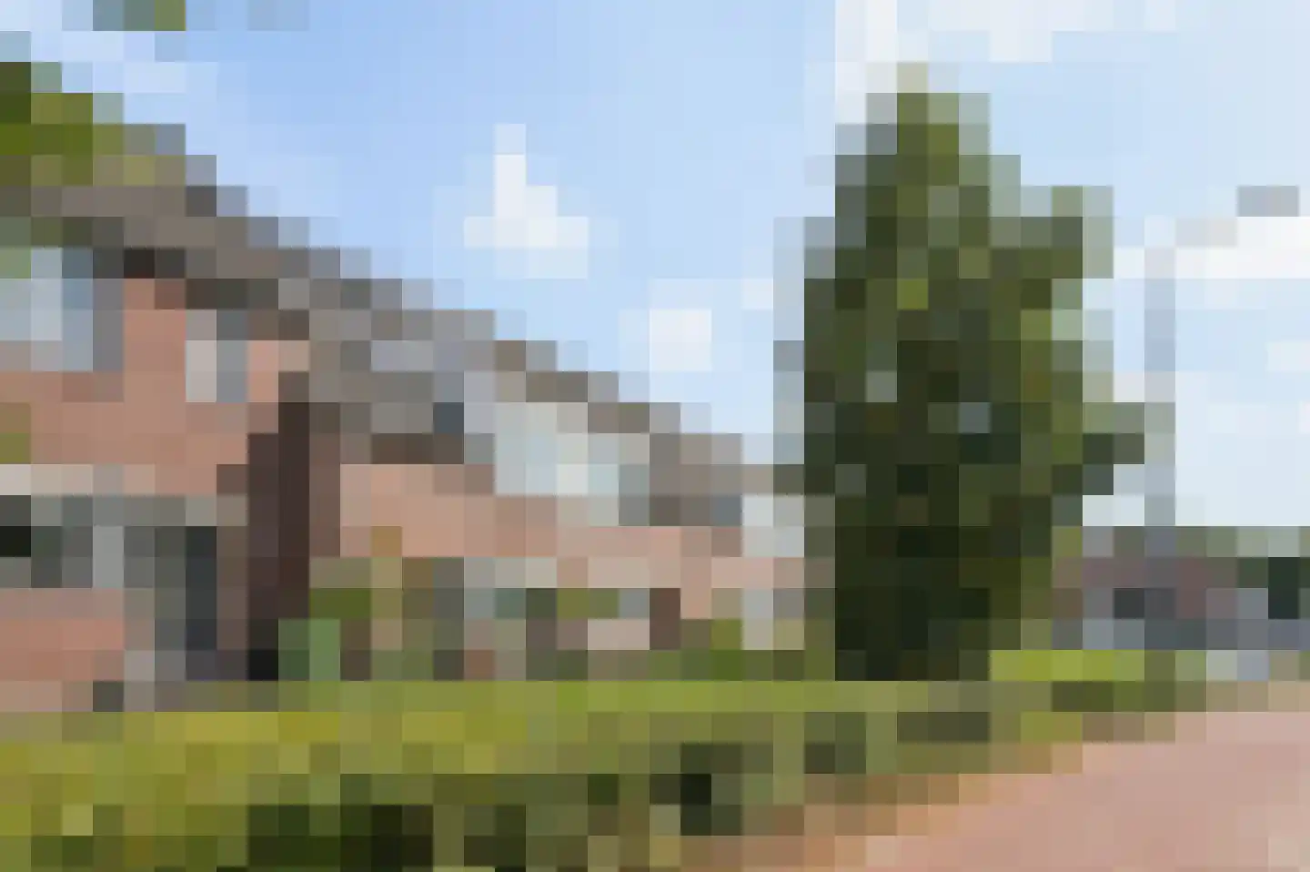 Weverij 190 Veenendaal thumbnail 25