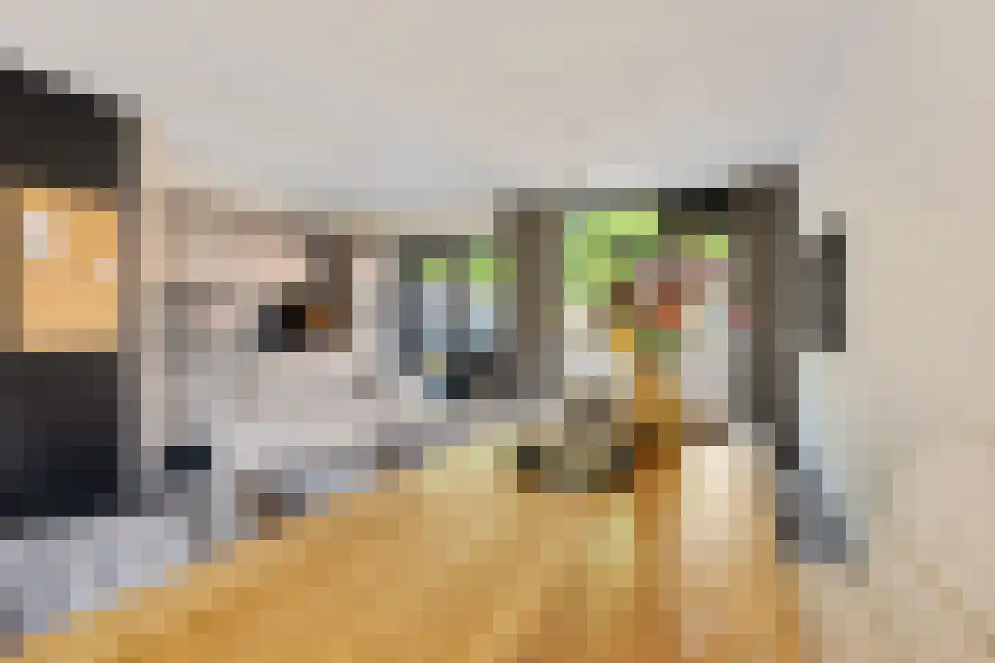 Weverij 21 Alkmaar thumbnail 10