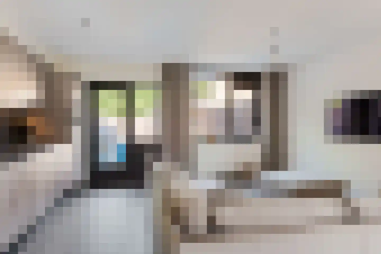 Weverij 21 Alkmaar thumbnail 11