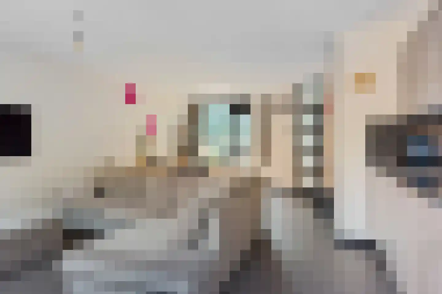 Weverij 21 Alkmaar thumbnail 12