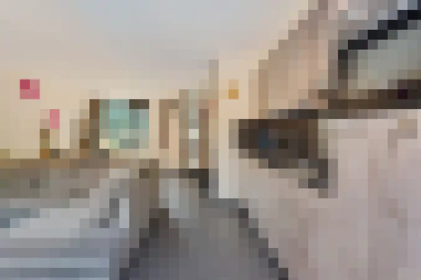 Weverij 21 Alkmaar thumbnail 14