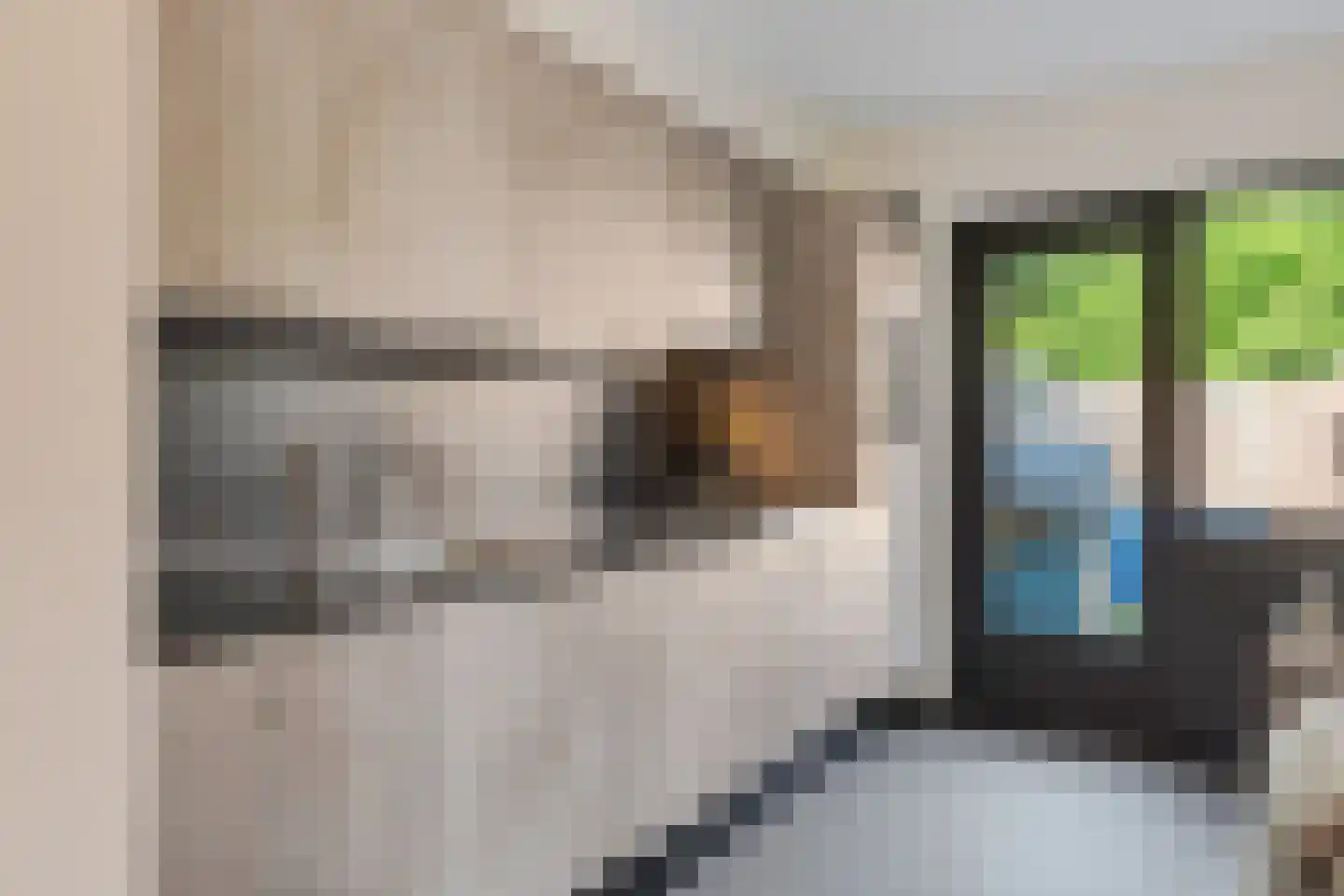 Weverij 21 Alkmaar thumbnail 15