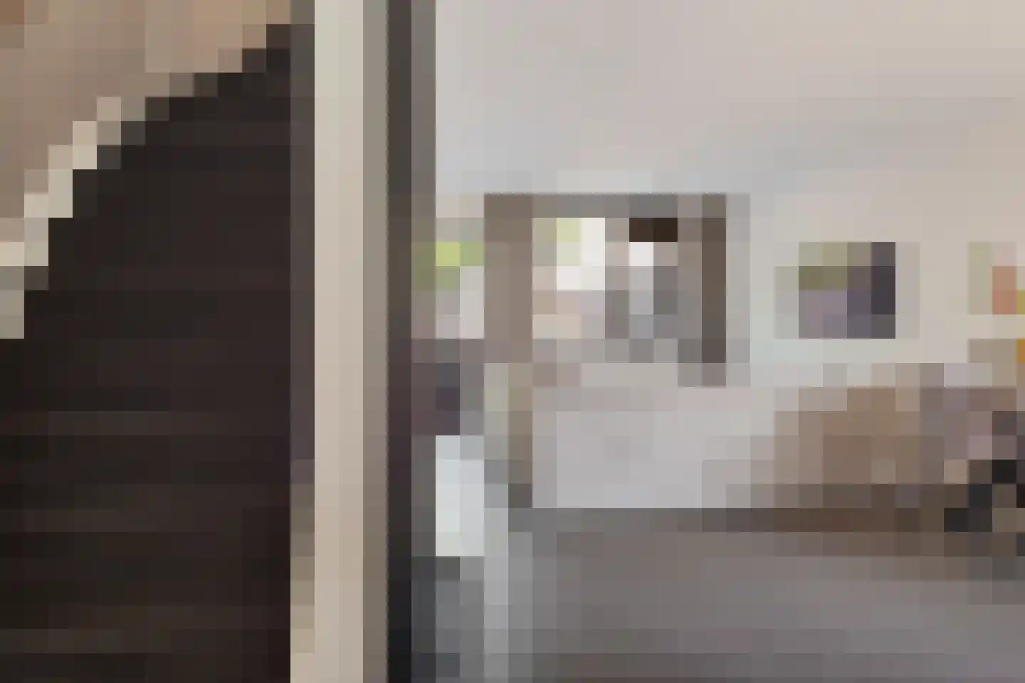 Weverij 21 Alkmaar thumbnail 20