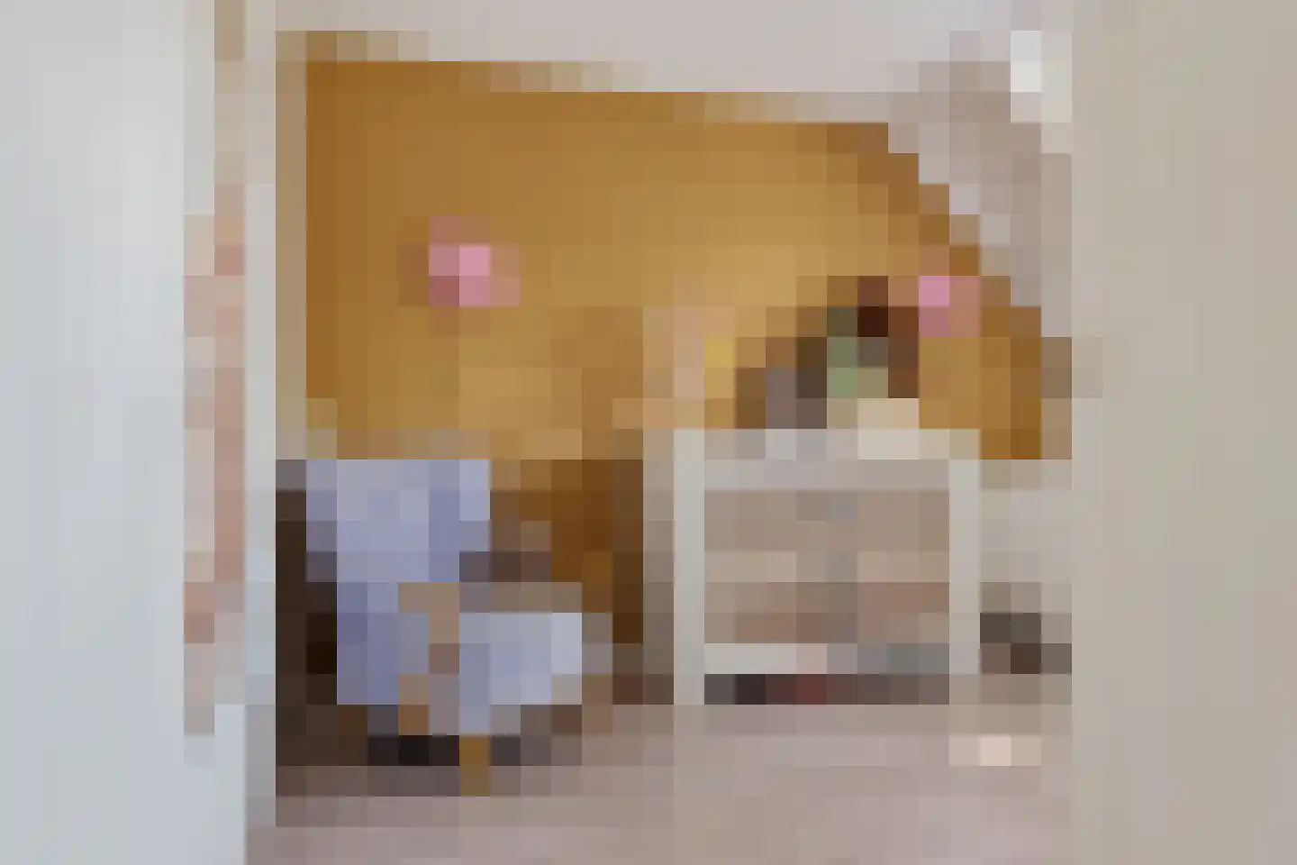 Weverij 21 Alkmaar thumbnail 25