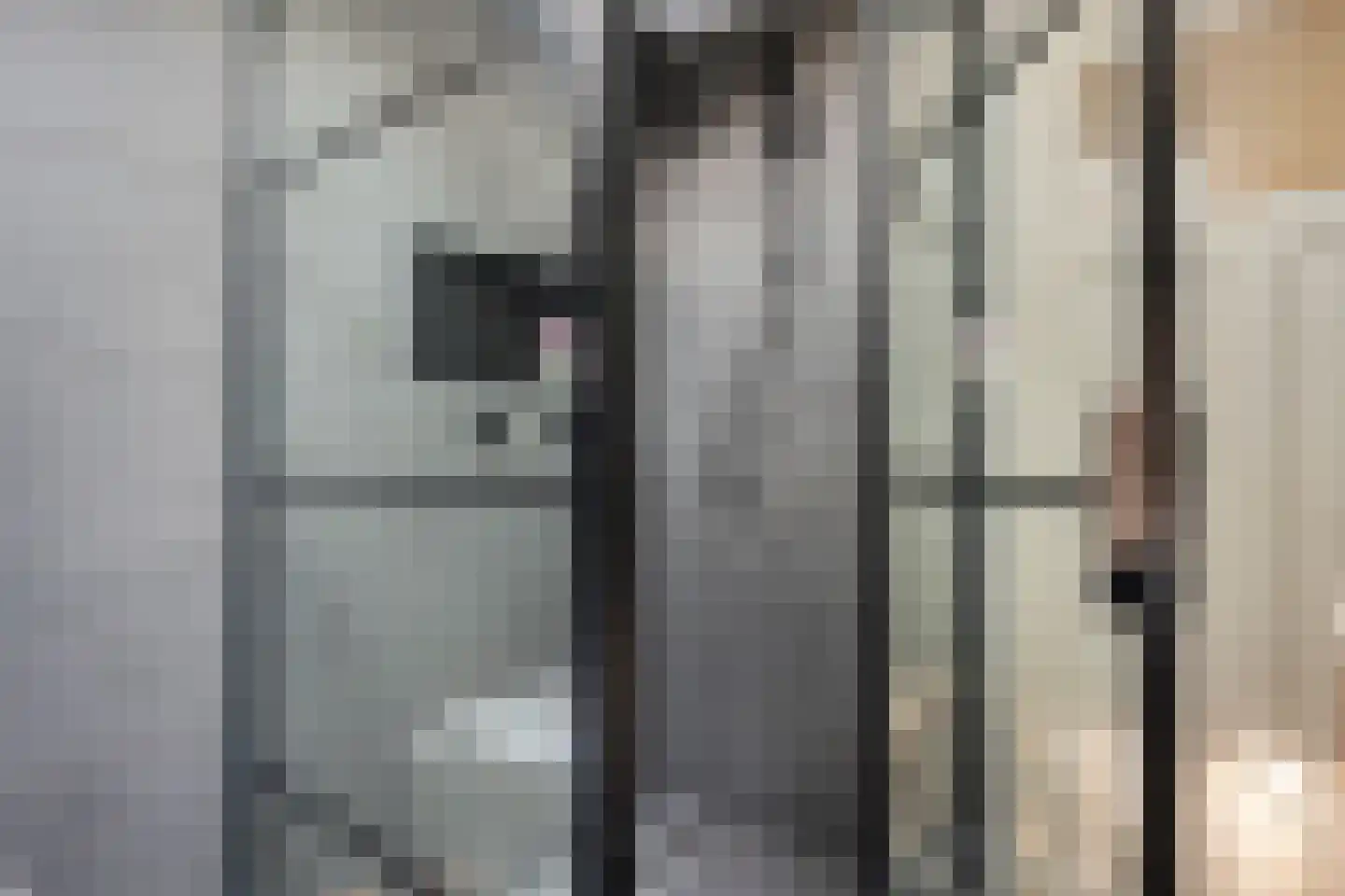 Weverij 21 Alkmaar thumbnail 30