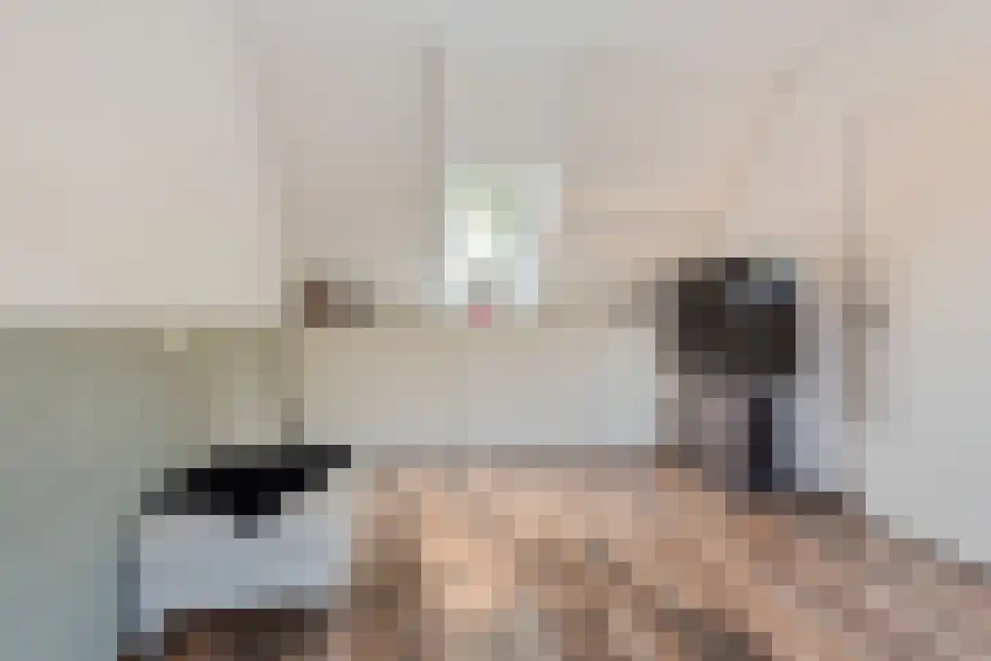 Weverij 21 Alkmaar thumbnail 33