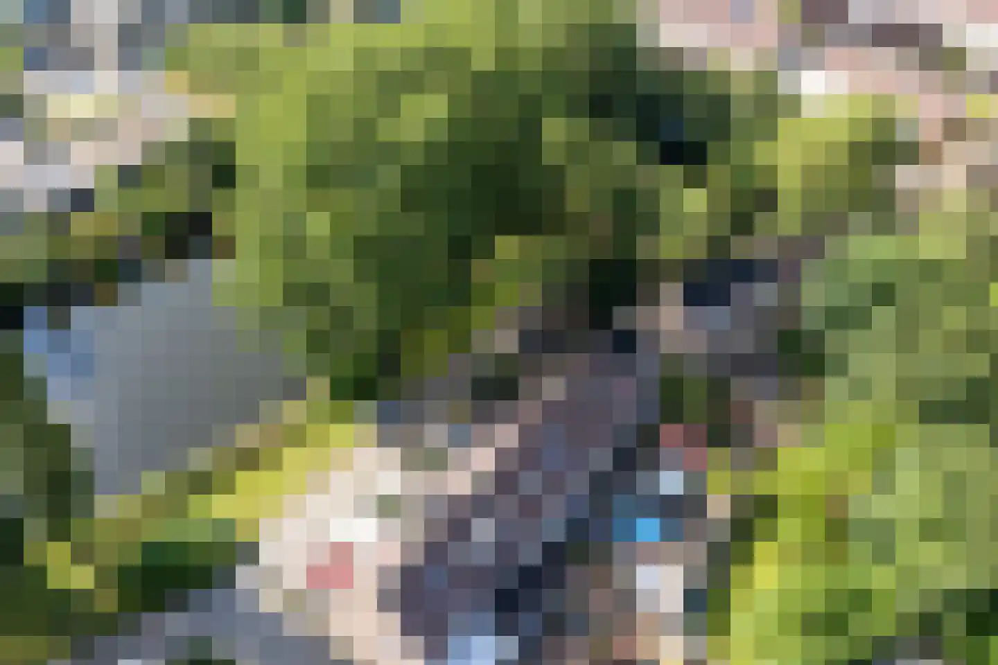 Weverij 21 Alkmaar thumbnail 45