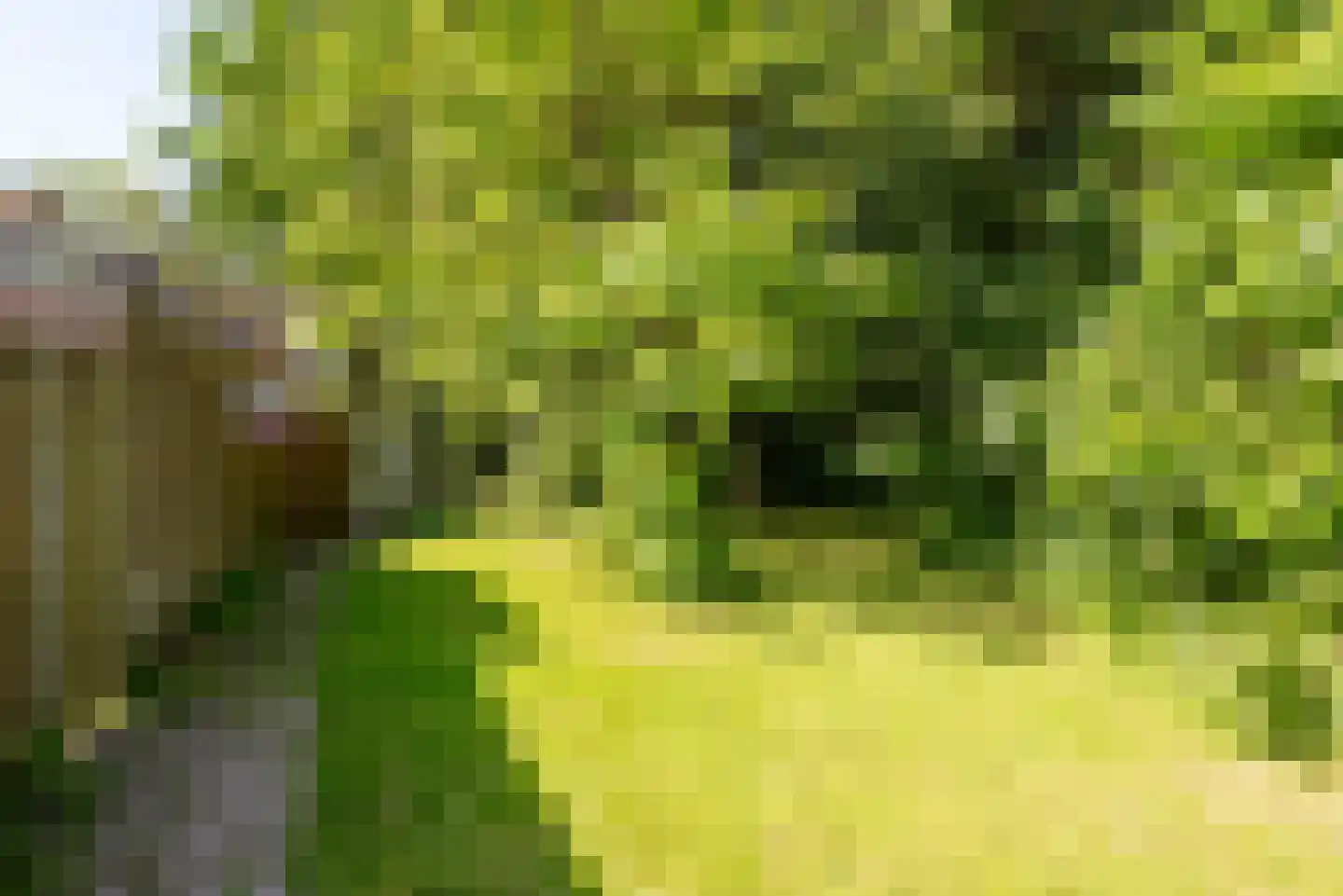 Weverij 21 Alkmaar thumbnail 47