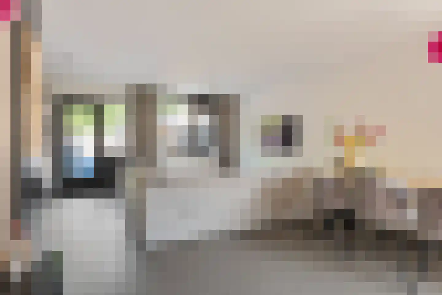 Weverij 21 Alkmaar thumbnail 7